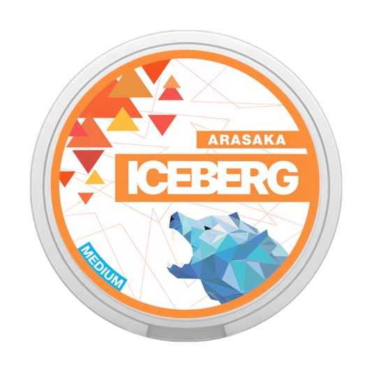 ICEBERG Arasaka Medium - Snuzia