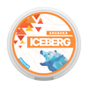 ICEBERG Arasaka Medium - Snuzia