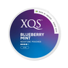 XQS Blueberry Mint - Snuzia