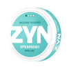 ZYN Spearmint Mini Dry