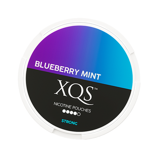 XQS Blueberry Mint - Snuzia